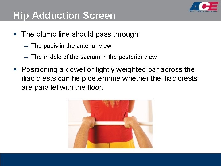 Hip Adduction Screen § The plumb line should pass through: – The pubis in