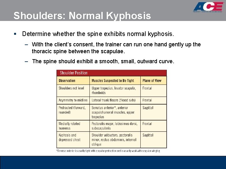 Shoulders: Normal Kyphosis § Determine whether the spine exhibits normal kyphosis. – With the