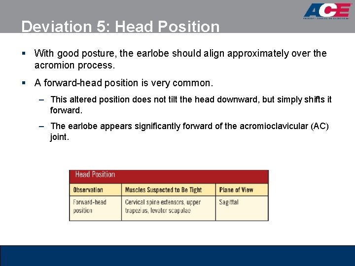 Deviation 5: Head Position § With good posture, the earlobe should align approximately over