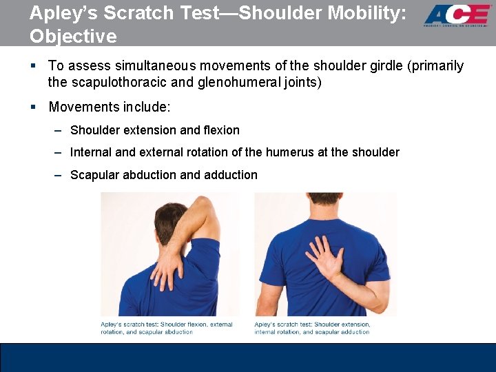 Apley’s Scratch Test—Shoulder Mobility: Objective § To assess simultaneous movements of the shoulder girdle