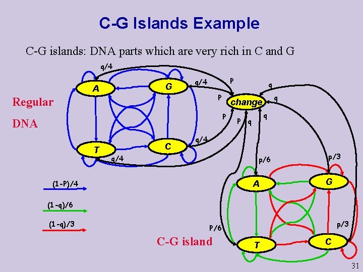 C-G Islands Example C-G islands: DNA parts which are very rich in C and
