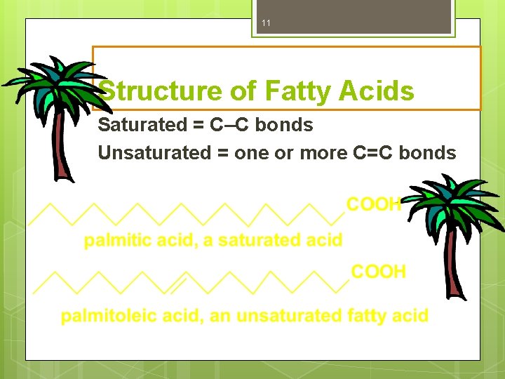 11 Structure of Fatty Acids Saturated = C–C bonds Unsaturated = one or more