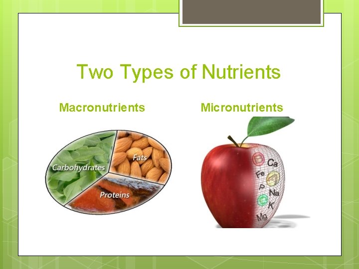 Two Types of Nutrients Macronutrients Micronutrients 