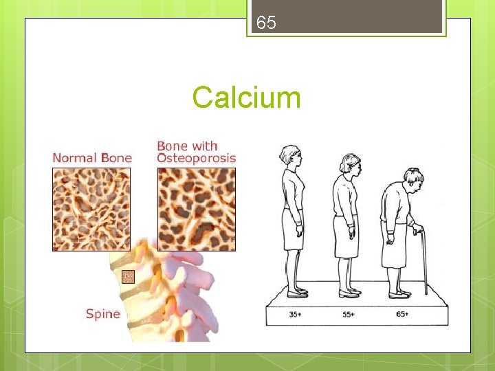 65 Calcium 