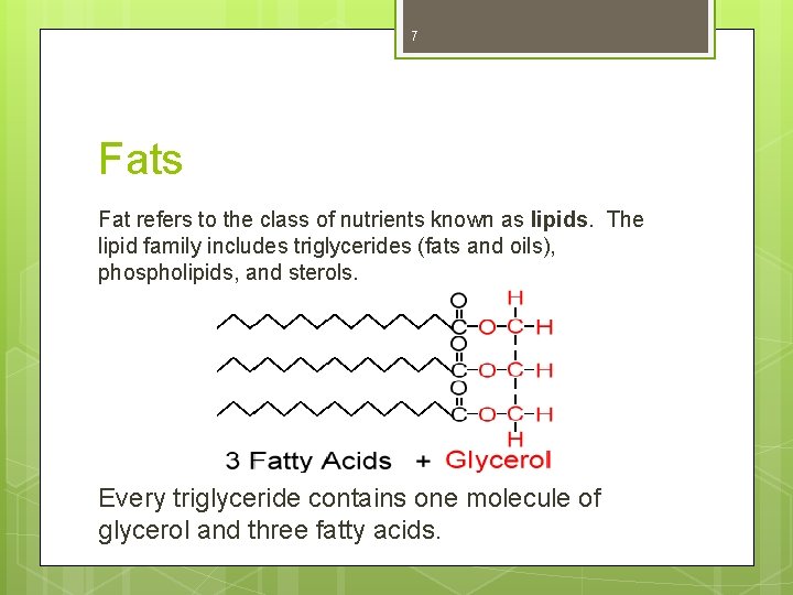 7 Fats Fat refers to the class of nutrients known as lipids. The lipid