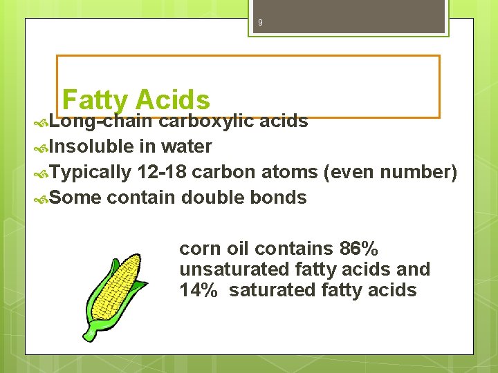 9 Fatty Acids Long-chain carboxylic acids Insoluble in water Typically 12 -18 carbon atoms