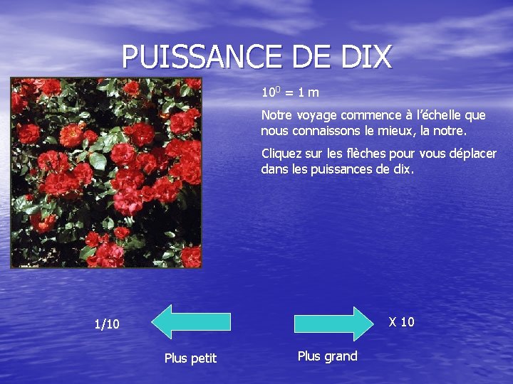 PUISSANCE DE DIX 100 = 1 m Notre voyage commence à l’échelle que nous