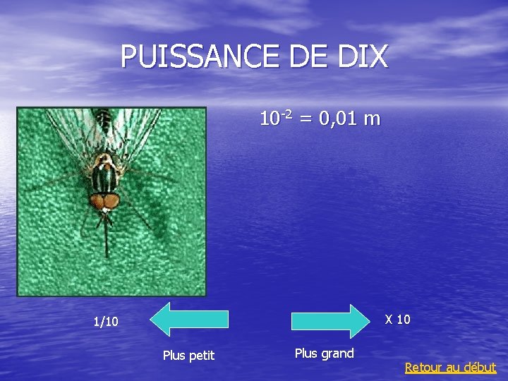 PUISSANCE DE DIX 10 -2 = 0, 01 m X 10 1/10 Plus petit