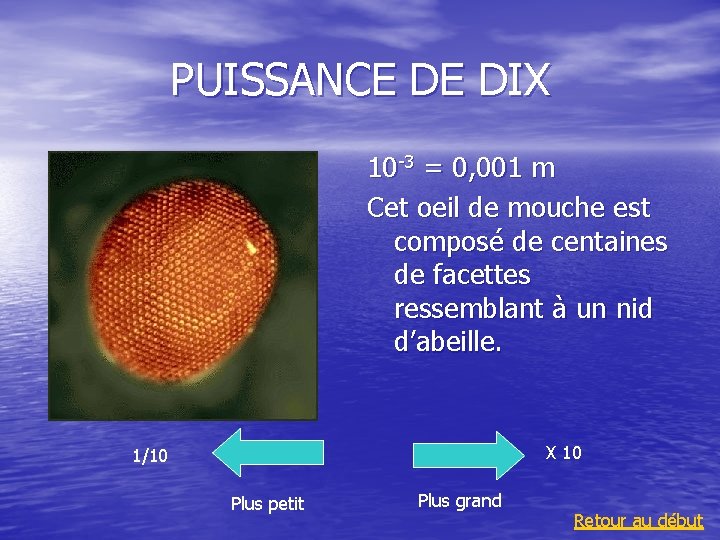 PUISSANCE DE DIX 10 -3 = 0, 001 m Cet oeil de mouche est