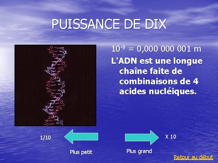 PUISSANCE DE DIX 10 -9 = 0, 000 001 m L'ADN est une longue PUISSANCE DE DIX 10 -9 = 0, 000 001 m L'ADN est une longue