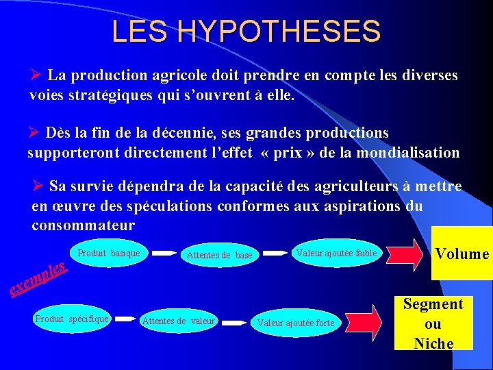 LES HYPOTHESES Ø La production agricole doit prendre en compte les diverses voies stratégiques