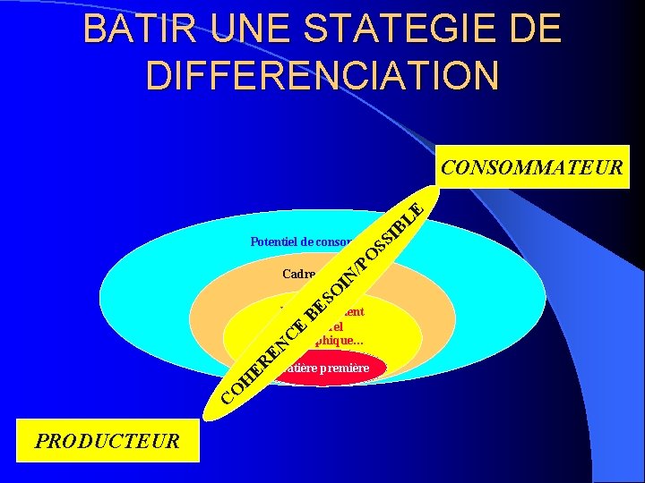 BATIR UNE STATEGIE DE DIFFERENCIATION SS IB LE CONSOMMATEUR /P O Potentiel de consommation