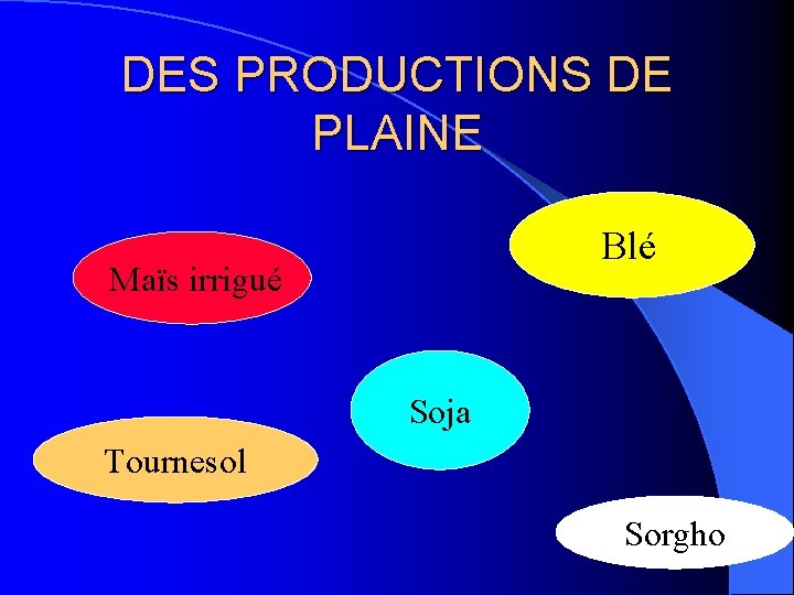 DES PRODUCTIONS DE PLAINE Blé Maïs irrigué Soja Tournesol Sorgho 