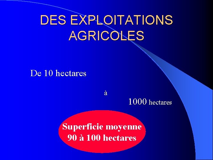 DES EXPLOITATIONS AGRICOLES De 10 hectares à 1000 hectares Superficie moyenne 90 à 100