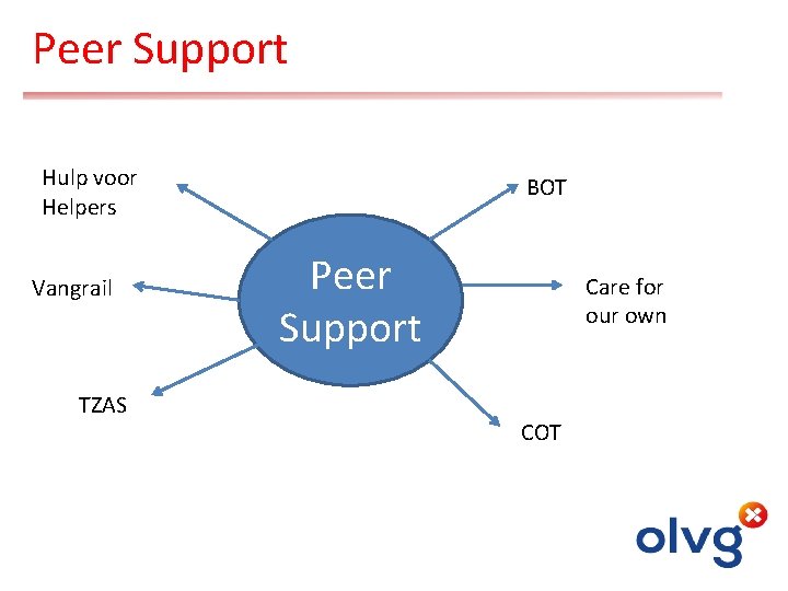 Peer Support Hulp voor Helpers Vangrail TZAS BOT Peer Support Care for our own