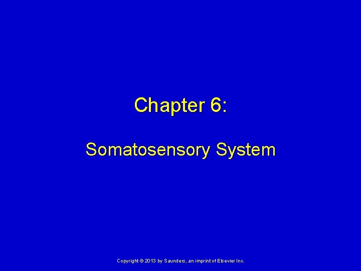 Chapter 6: Somatosensory System Copyright © 2013 by Saunders, an imprint of Elsevier Inc.