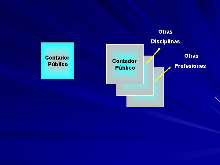 Otras Disciplinas Contador Público Otras Profesiones 