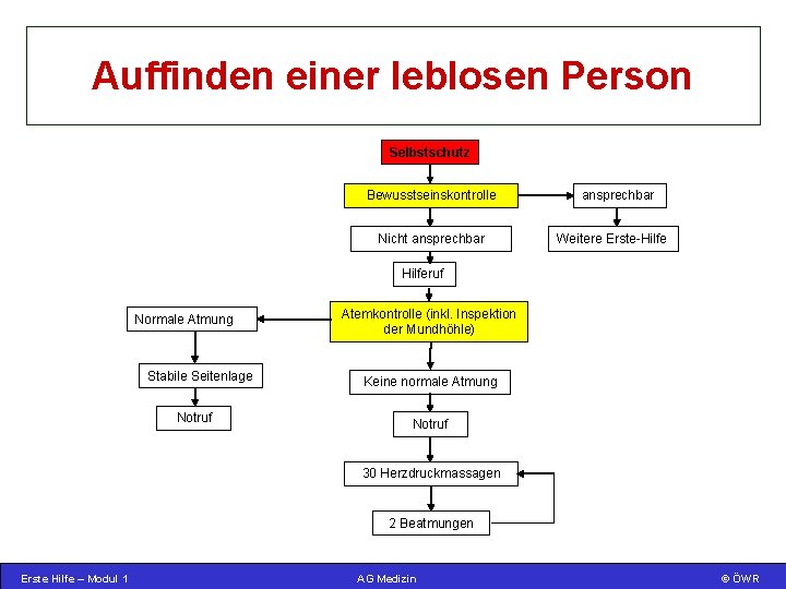 Auffinden einer leblosen Person Selbstschutz Bewusstseinskontrolle Nicht ansprechbar Weitere Erste-Hilferuf Normale Atmung Stabile Seitenlage