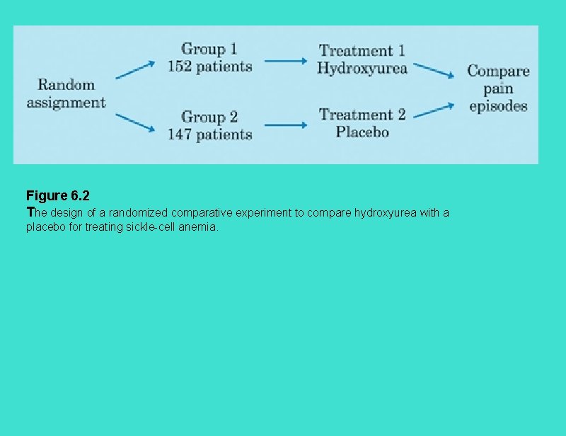 Figure 6. 2 The design of a randomized comparative experiment to compare hydroxyurea with