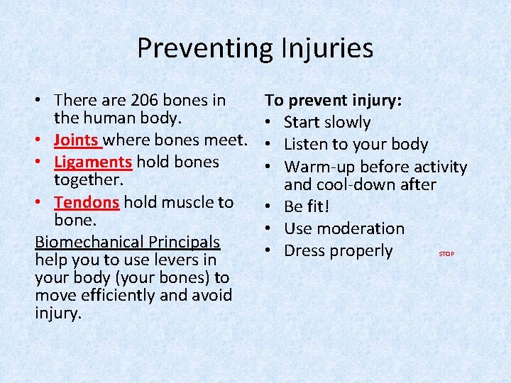 Preventing Injuries • There are 206 bones in the human body. • Joints where Preventing Injuries • There are 206 bones in the human body. • Joints where