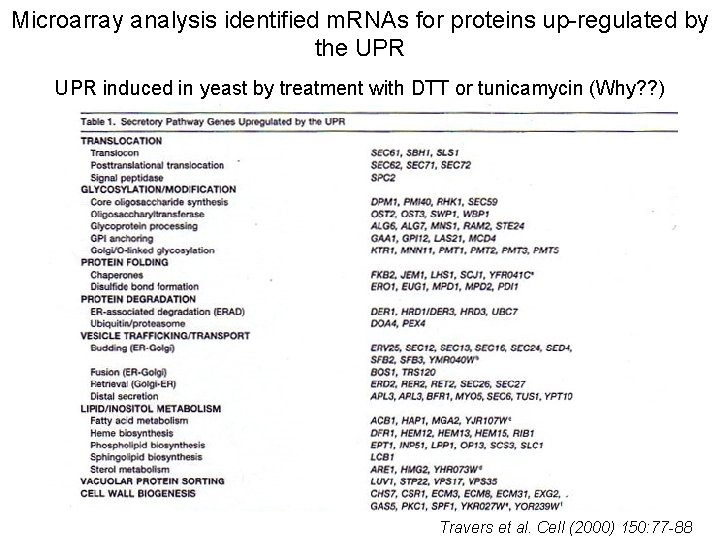 Microarray analysis identified m. RNAs for proteins up-regulated by the UPR induced in yeast