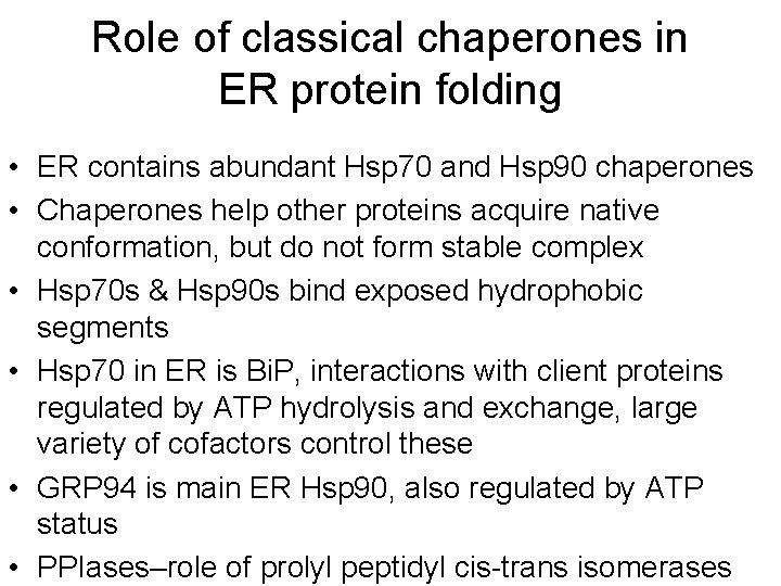 Role of classical chaperones in ER protein folding • ER contains abundant Hsp 70