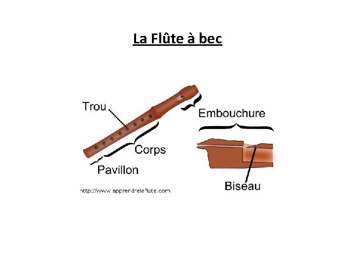 La Flûte à bec 