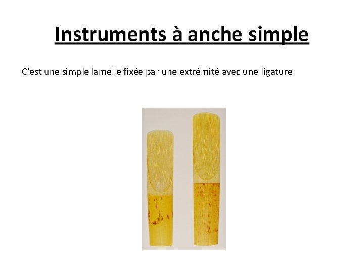 Instruments à anche simple C'est une simple lamelle fixée par une extrémité avec une