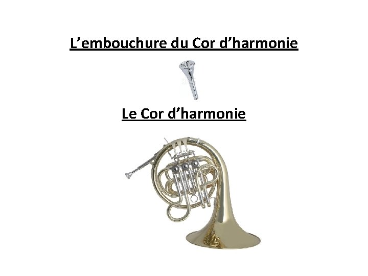 L’embouchure du Cor d’harmonie Le Cor d’harmonie 