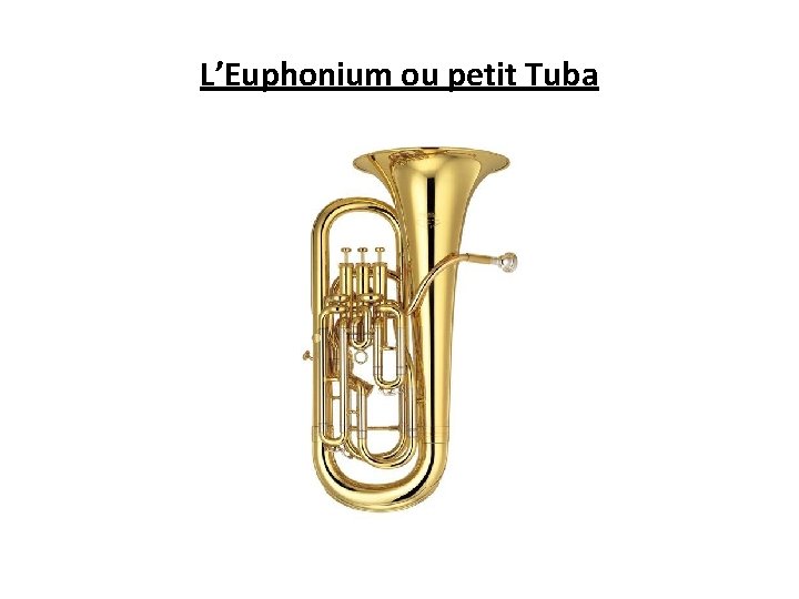 L’Euphonium ou petit Tuba 