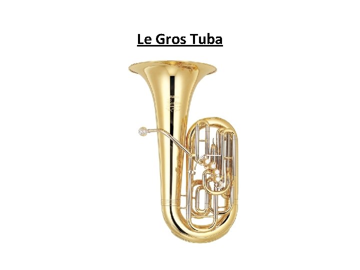 Le Gros Tuba 