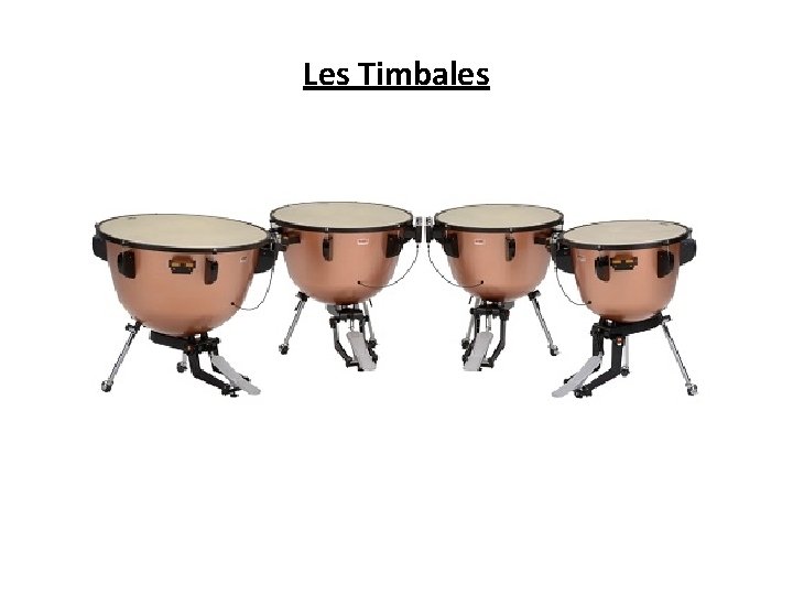 Les Timbales 