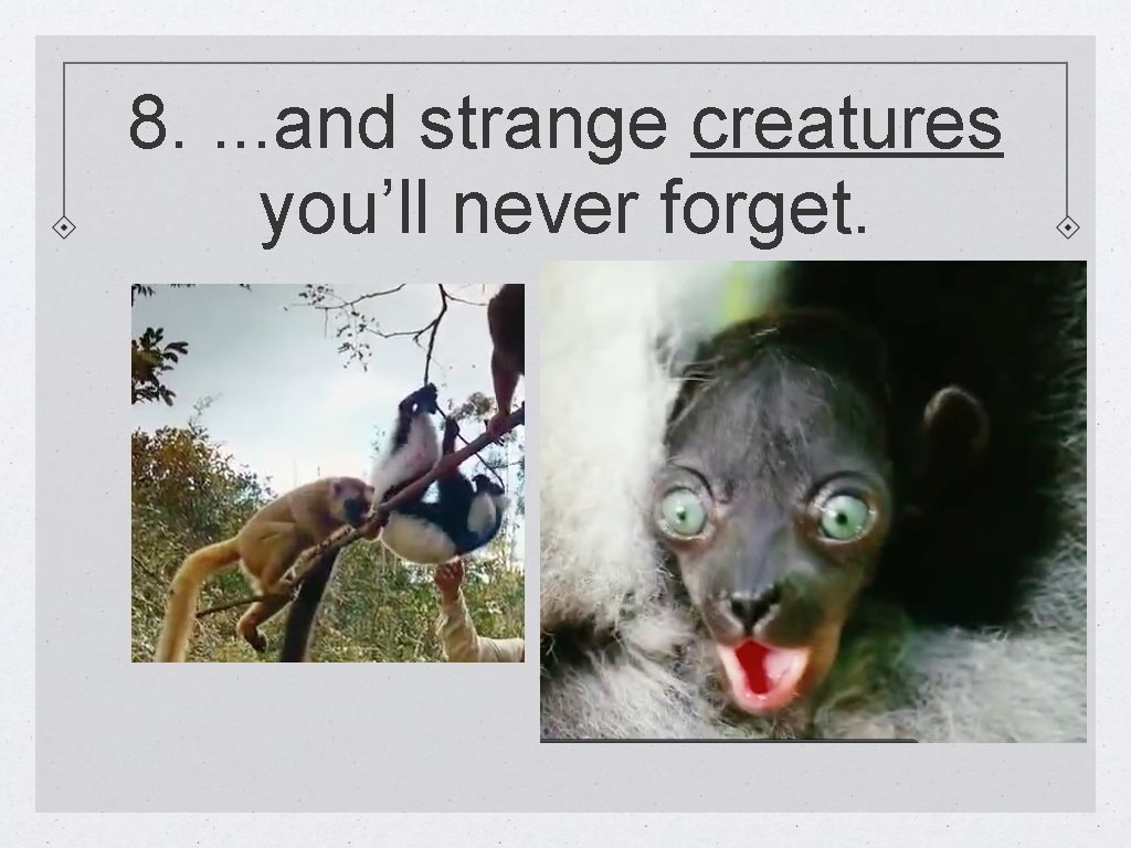 8. . and strange creatures you’ll never forget. 