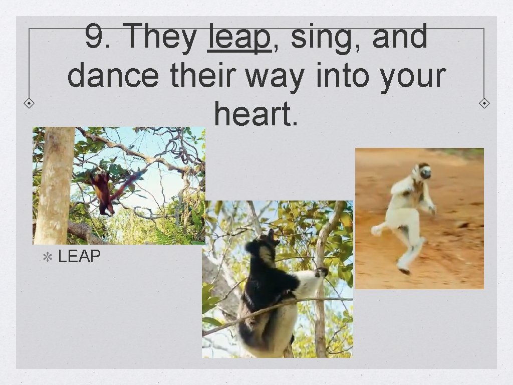 9. They leap, sing, and dance their way into your heart. LEAP 