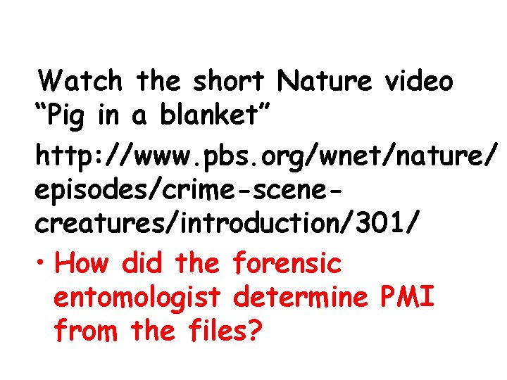 Watch the short Nature video “Pig in a blanket” http: //www. pbs. org/wnet/nature/ episodes/crime-scenecreatures/introduction/301/