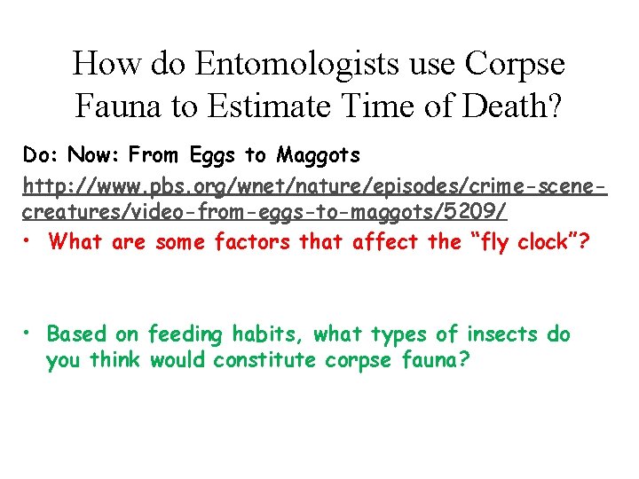 How do Entomologists use Corpse Fauna to Estimate Time of Death? Do: Now: From