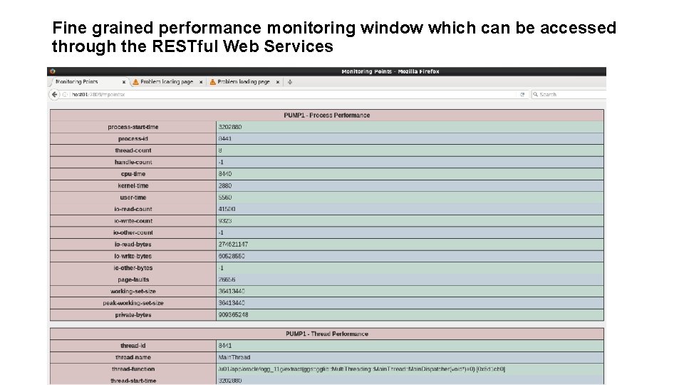 Fine grained performance monitoring window which can be accessed through the RESTful Web Services Fine grained performance monitoring window which can be accessed through the RESTful Web Services