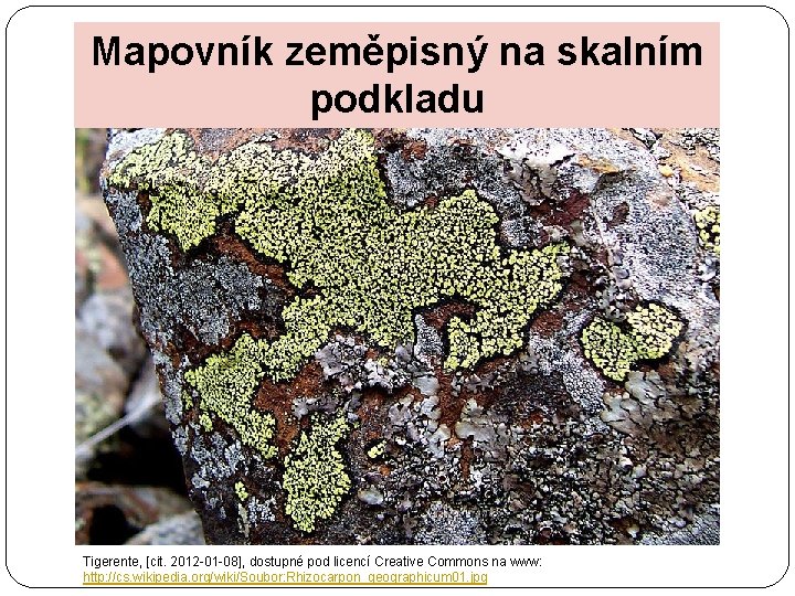 Mapovník zeměpisný na skalním podkladu Tigerente, [cit. 2012 -01 -08], dostupné pod licencí Creative