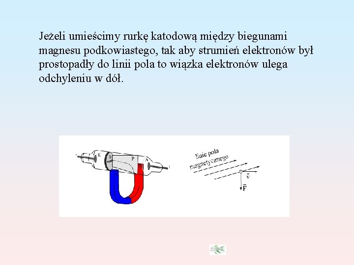 Jeżeli umieścimy rurkę katodową między biegunami magnesu podkowiastego, tak aby strumień elektronów był prostopadły