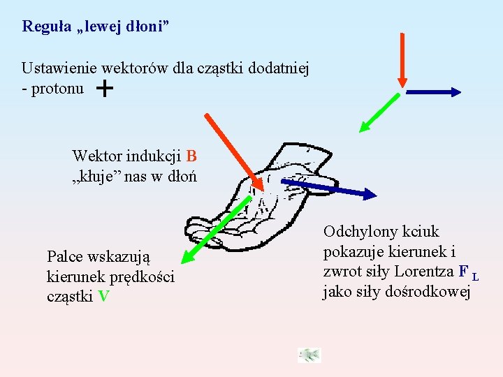 Reguła „lewej dłoni” Ustawienie wektorów dla cząstki dodatniej - protonu Wektor indukcji B „kłuje”