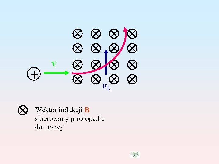 V FL Wektor indukcji B skierowany prostopadle do tablicy 