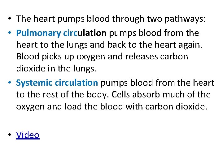  • The heart pumps blood through two pathways: • Pulmonary circulation pumps blood