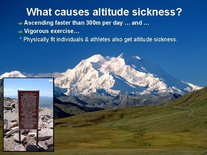 What causes altitude sickness? Ascending faster than 300 m per day … and …