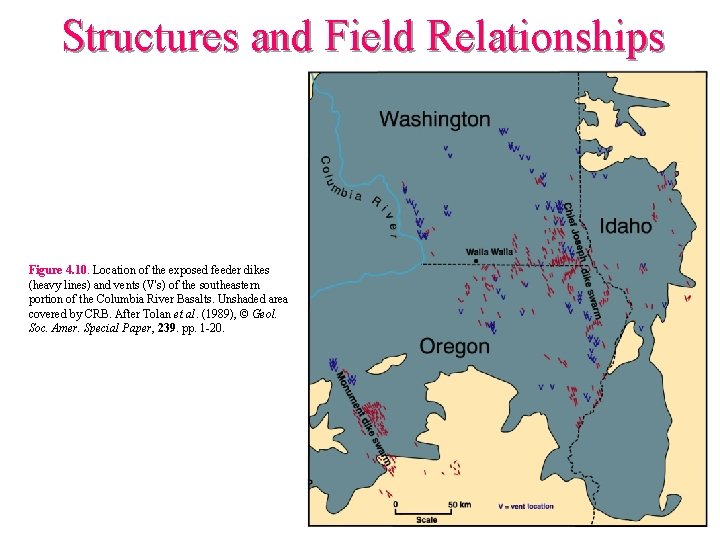 Structures and Field Relationships Figure 4. 10. Location of the exposed feeder dikes (heavy