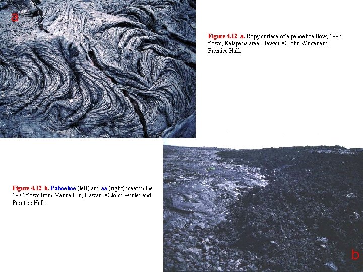a Figure 4. 12. a. Ropy surface of a pahoehoe flow, 1996 flows, Kalapana