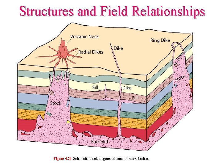 Structures and Field Relationships Figure 4. 20. Schematic block diagram of some intrusive bodies.