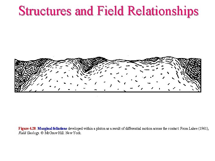 Structures and Field Relationships Figure 4. 28. Marginal foliations developed within a pluton as