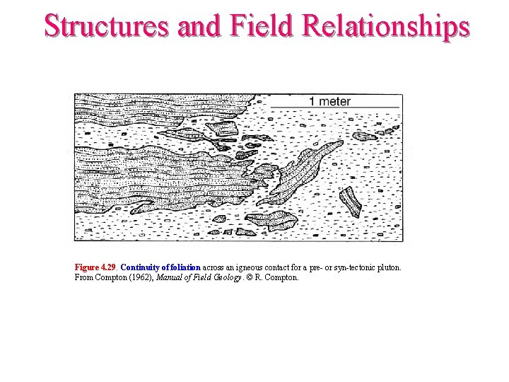 Structures and Field Relationships Figure 4. 29. Continuity of foliation across an igneous contact