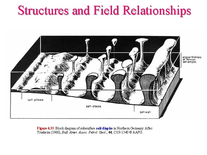 Structures and Field Relationships Figure 4. 33. Block diagram of subsurface salt diapirs in