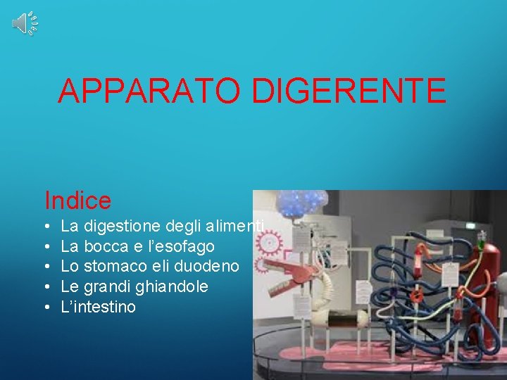 APPARATO DIGERENTE Indice • • • La digestione degli alimenti La bocca e l’esofago